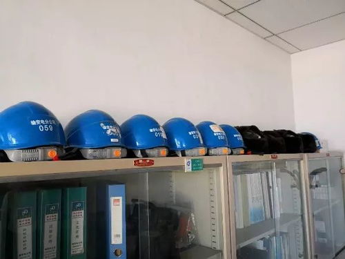 第十期暖心行動 團(tuán)組織綠化服務(wù)點(diǎn)亮美好社區(qū)